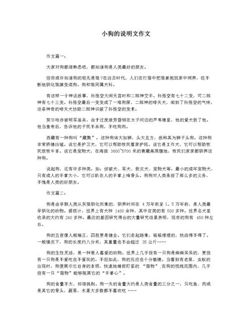 小狗的说明文作文.docx 2页