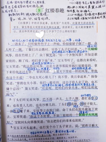 统编版五下语文《红楼春趣》课文笔记_语文_五年级语文_教育_小学教育