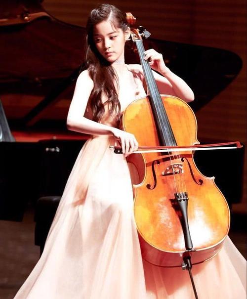 欧阳娜娜出生于2000年,青春美丽,多才多艺,是大提琴演奏家.