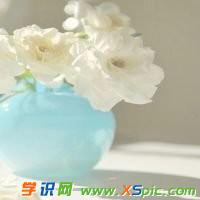 2017年最热微信头像