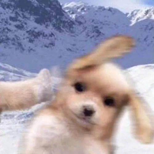 20组考研人专属情侣头像甜度爆表