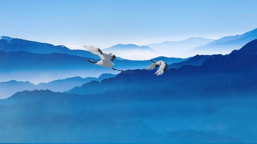 水墨背景 云雾 闲云野鹤