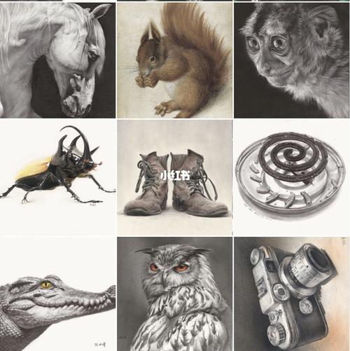 素描素材 精微素描 动物素描_素描_素材_美术生_绘画