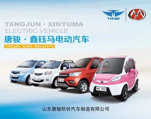 唐骏·鑫钰马电动汽车