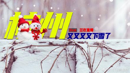 杭州又又又又下雪了#2022年杭州的雪,来的比往年不止多了一些,虎年的