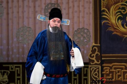 京剧《十老安刘》(杜鹏舒桐宋昊宇孙震等主演)·3