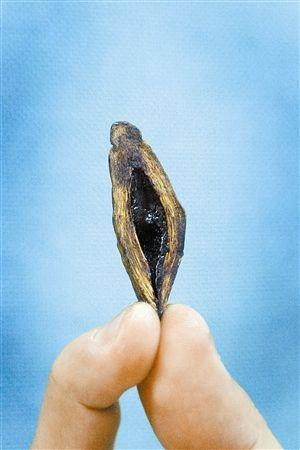 嚼槟榔易致癌仍热销 商贩称跟抽烟差不多