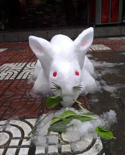 10.这只兔子光吃雪