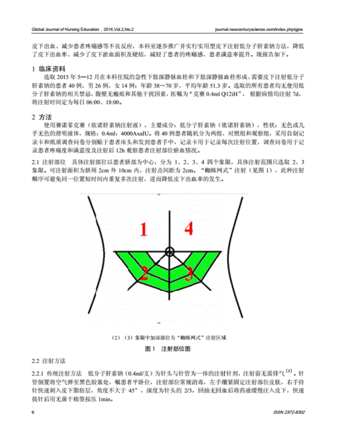 实用型注射法在皮下注射低分子肝素钠临床应用中的观察pdf4页