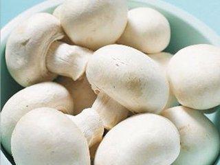 森冉生物双孢菇提取物 口菇提取物 口蘑提取物