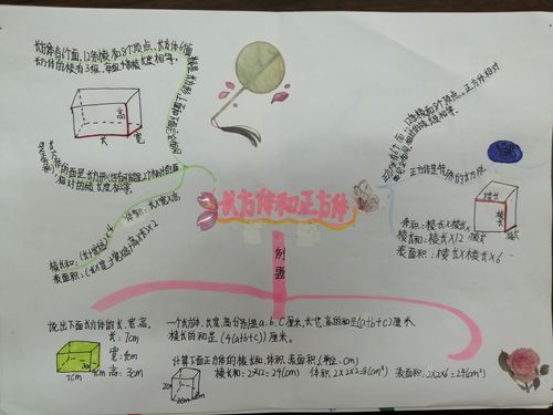 数学知识和思维在图中升华——蓝湾小学六年级数学期末复习思维导图展