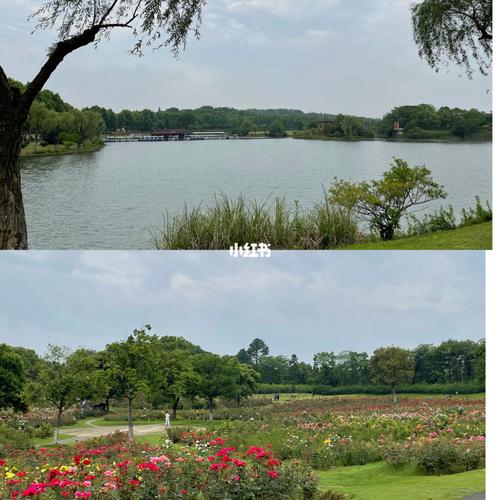 宜兴·龙背山森林公园_宜兴_森林_宜兴龙背山森林公园