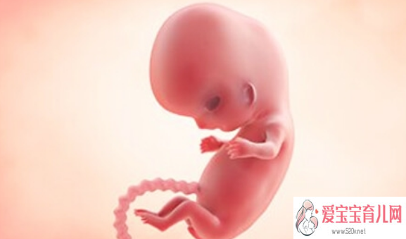 怀孕第9周宝宝发育怎么样 孕期第9周有哪些症状2018