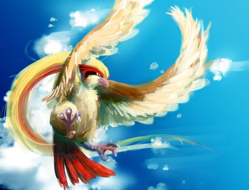 大比鸟到底要等多久才会再次被想起