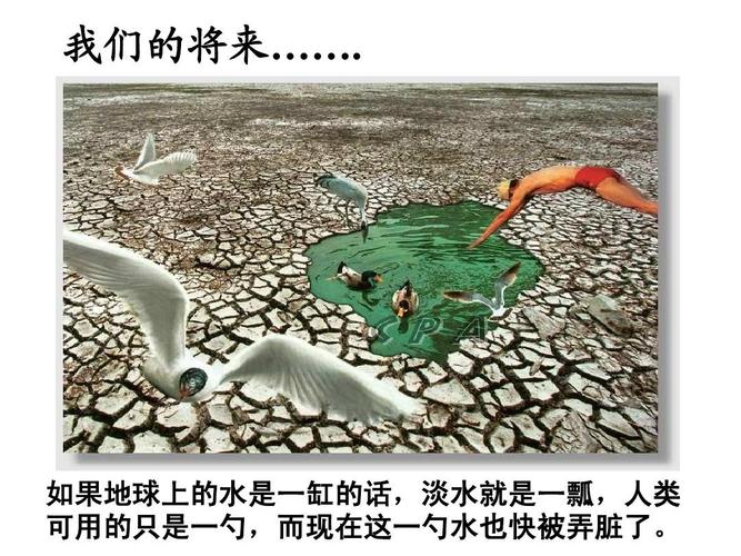 新人教版九年级化学第四单元 课题1 爱护水资源(ppt)