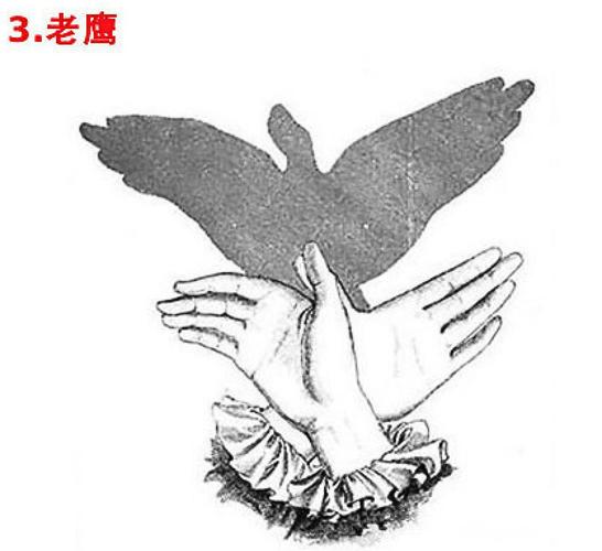 手影大搜集,一面墙,一双手,就可以玩出千变万化