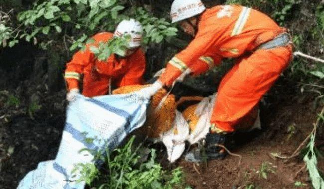 女子被人用刀刺中心脏死亡,推下悬崖,丈夫:不能容忍妻子的背叛