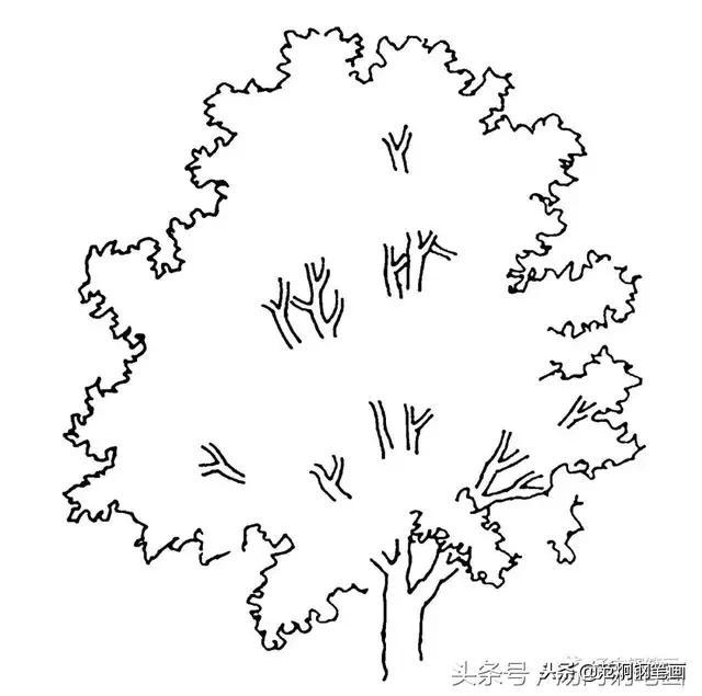 手绘钢笔画景观树的表现方法教学步骤