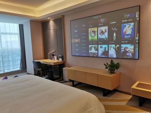 丽枫(碧桂园店),浴缸房和影视房_浴缸_华锋国际汽配城