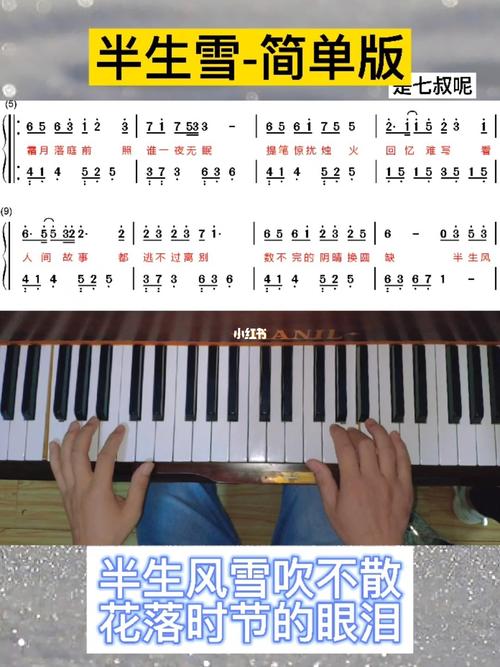 半生雪七叔简单版钢琴简谱教学弹奏