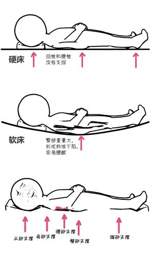 正确姿势:睡觉最好的姿势是仰卧,实在不喜欢仰卧的可以侧卧,但是一定