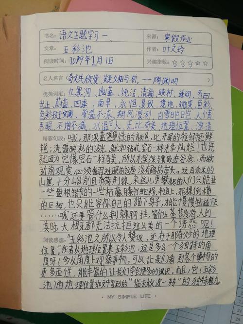 我的寒假我做主———云南元江红军小学雷锋中队寒假生活