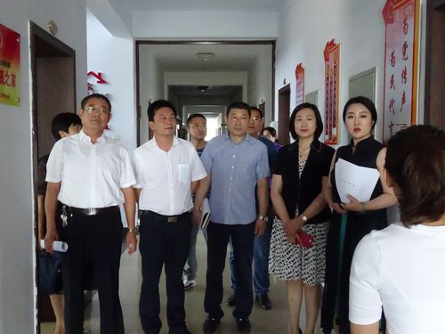 丰南区人大常委会副主任刘会荣等一行莅临大新庄镇检查和指导"五星级"
