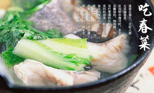 吃春菜春分吃春菜这一习俗中所说的春菜,在各地都有不同.