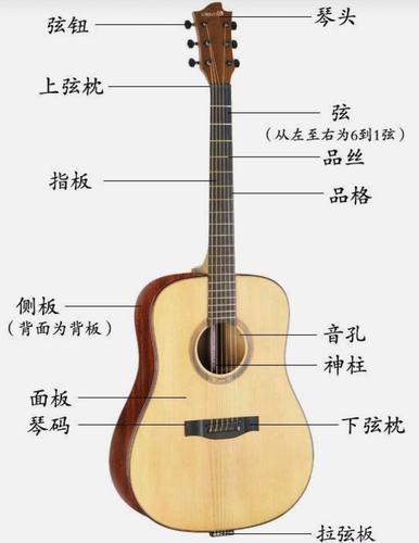 从完全不懂乐理的零基础开始,自学吉他