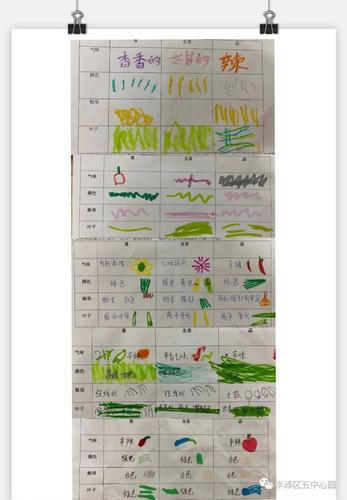 我们的观察记录和体验