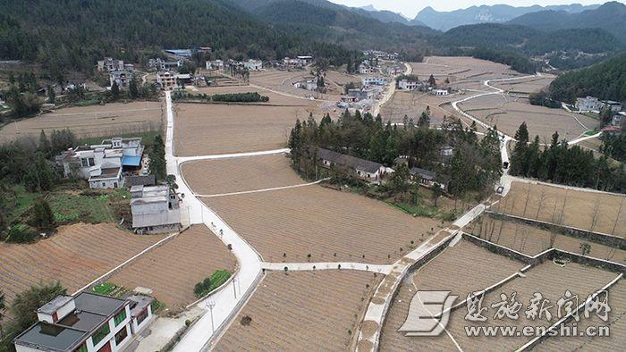 3月19日,利川市团堡镇四方洞村整齐划一的马铃薯田块.