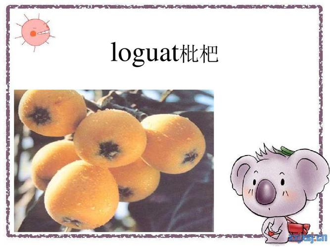 loguat枇杷