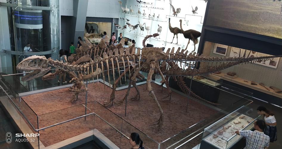 标题:赣州自然博物馆