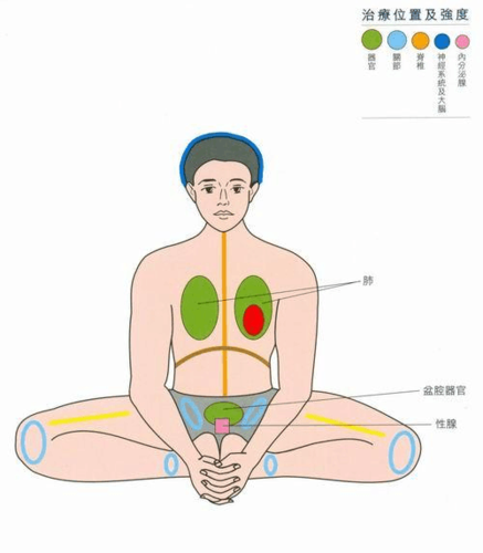 神奇的"蝴蝶式""还阳卧"和"混元卧" - 中医养生