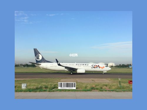 山航738_航空_山东航空_出行_出行其他