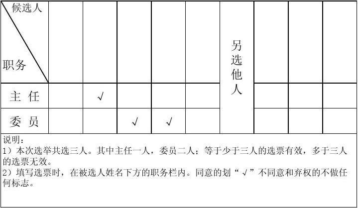 无忧文档 所有分类 表格/模板 表格类模板 选票模版