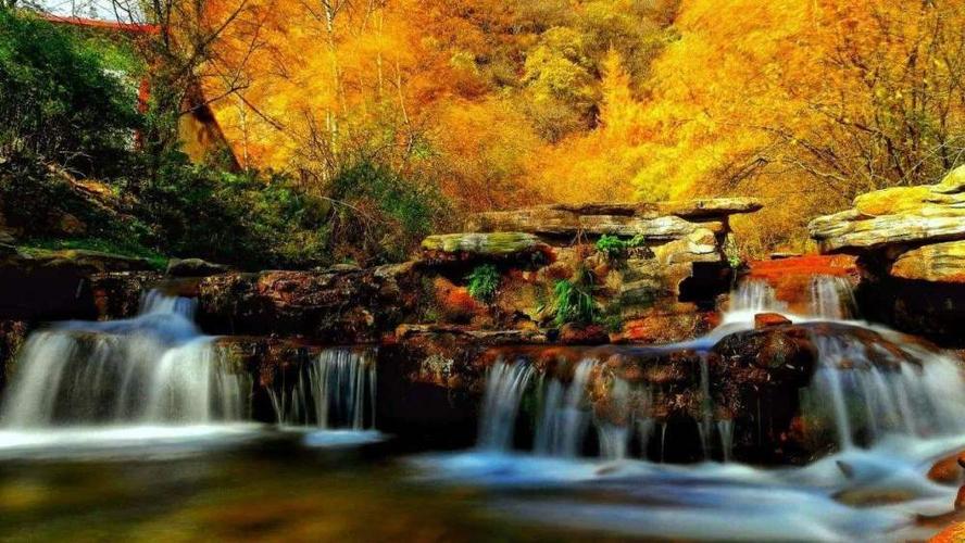 六盘山国家森林公园