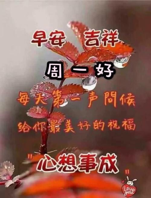 周一清晨特漂亮早上好祝福图片文字,暖心的早上好祝福短信