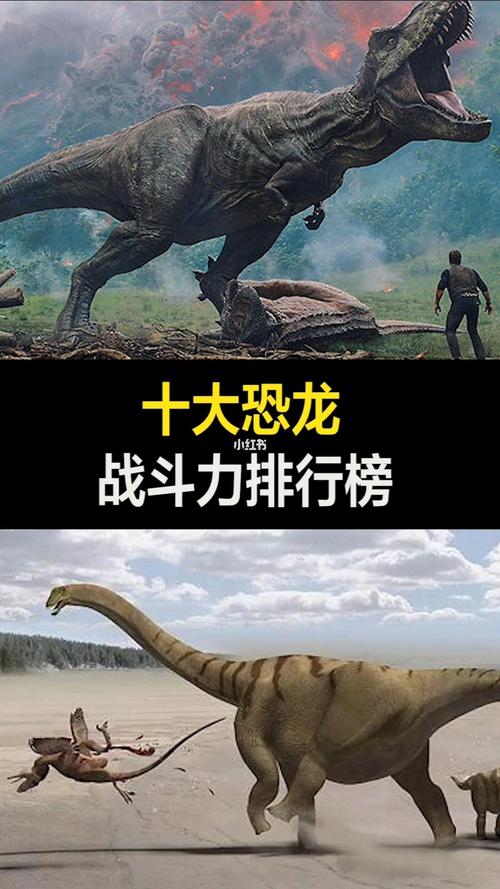 第八名蛮龙第七名特暴龙第六名似鳄龙第五名马普龙第四名鲨齿龙第三名