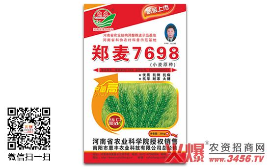 【郑麦7698】郑麦7698小麦种怎么样