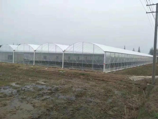 上海侧置伸缩杆大棚卷帘机,优质大棚卷帘机建设
