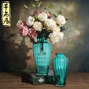 欧式双耳气泡玻璃花瓶 透明水培花器 家居花艺套装 餐桌客厅装饰