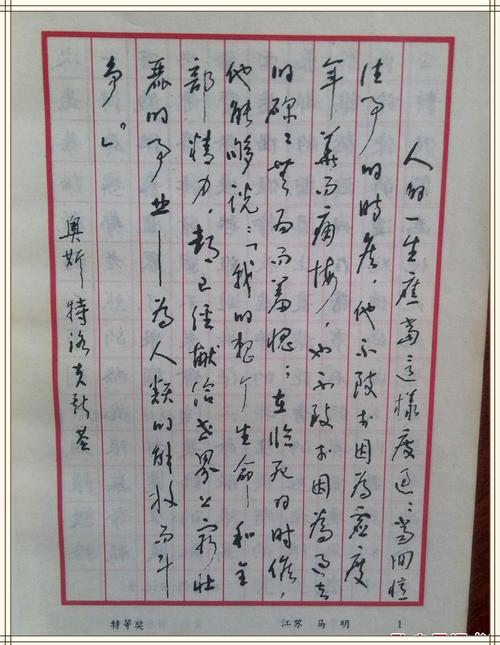 马明,硬笔书法,草书