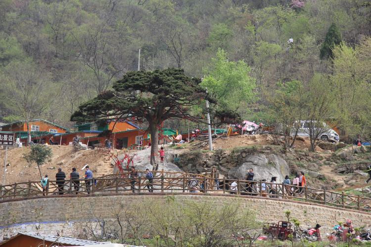 2016年4月9日游河南南阳镇平五朵山
