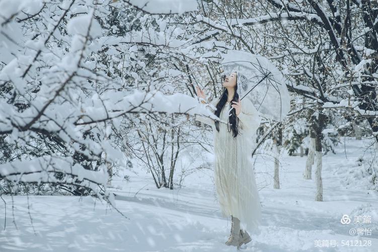 我在一帘幽梦里,等一场爱的飘雪