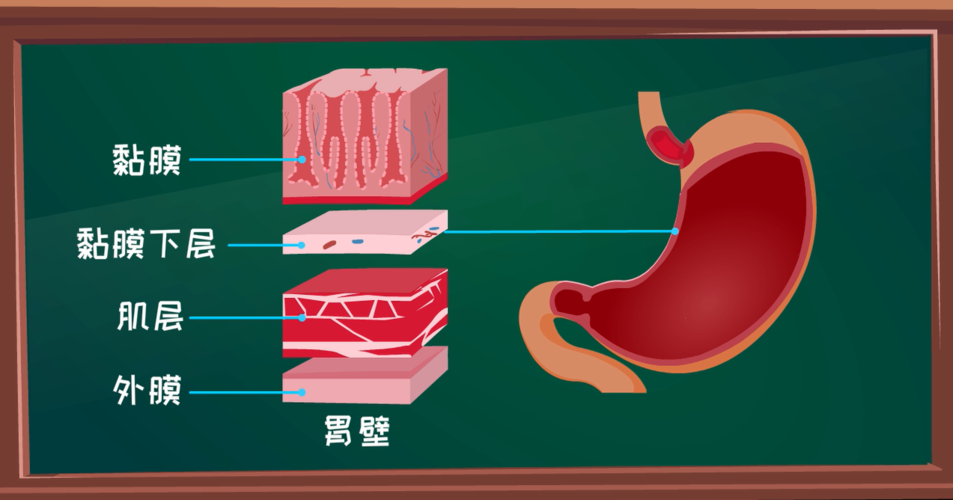 腹痛,恶心背后真相是?胃溃疡发病