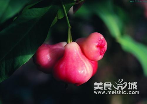 人参果的功效与作用