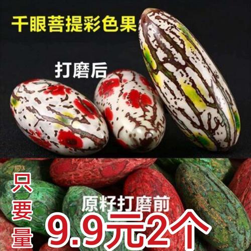 千眼菩提彩果菩提子原籽绿果红果菩提果皮红纹菩提子老果胖果千眼