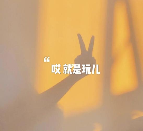 哎就是玩儿的沙雕短句