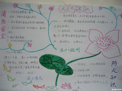 小学一年级安全教育内容手抄报 一年级安全手抄报